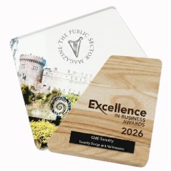 excellence-in-business-award